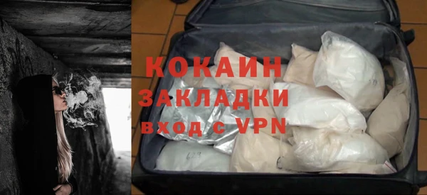 сатива Покачи