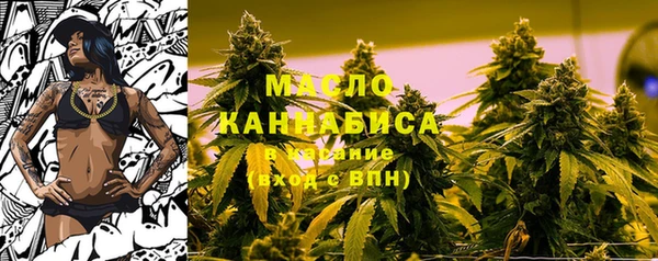 сатива Покачи