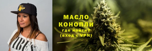 сатива Покачи