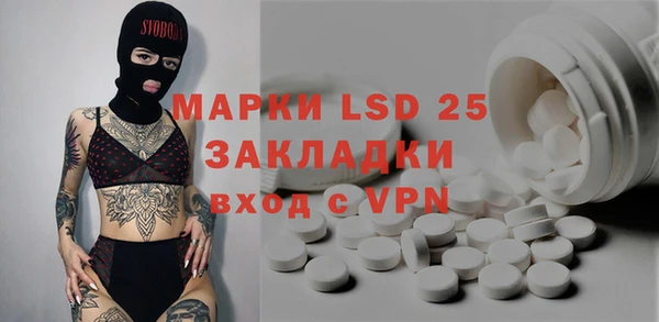 сатива Покачи