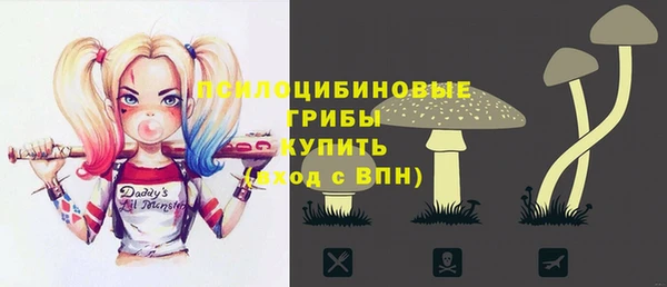прущие грибы Армянск