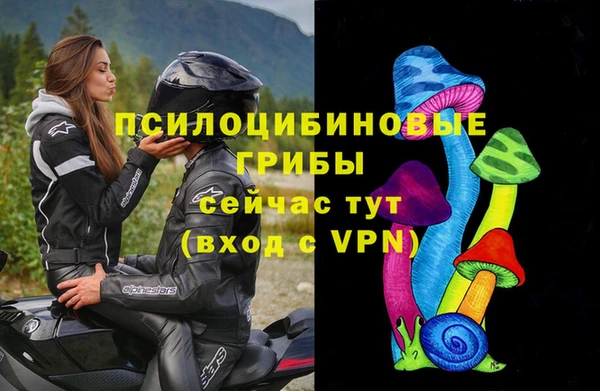 крисы Аркадак