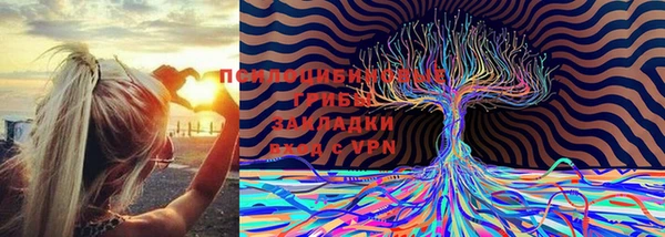 крисы Балахна