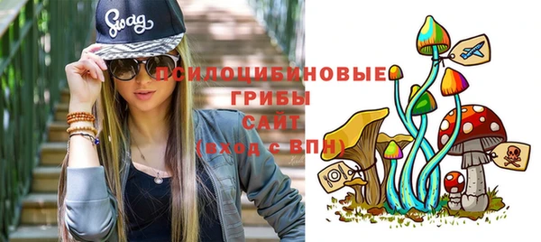 прущие грибы Армянск