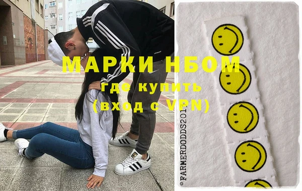 сатива Покачи