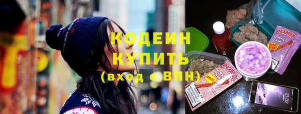 сатива Покачи